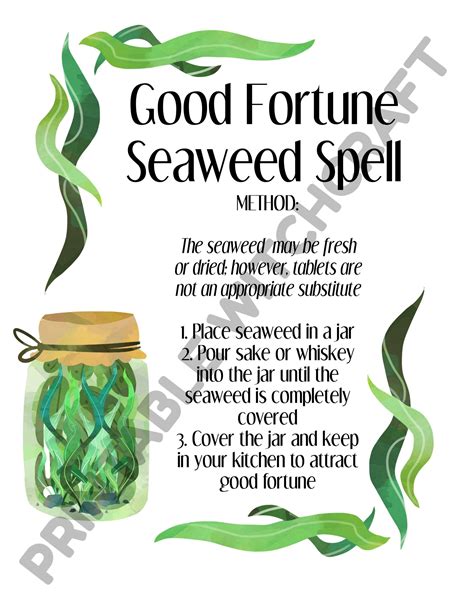 Witchcraft seaweed stuart